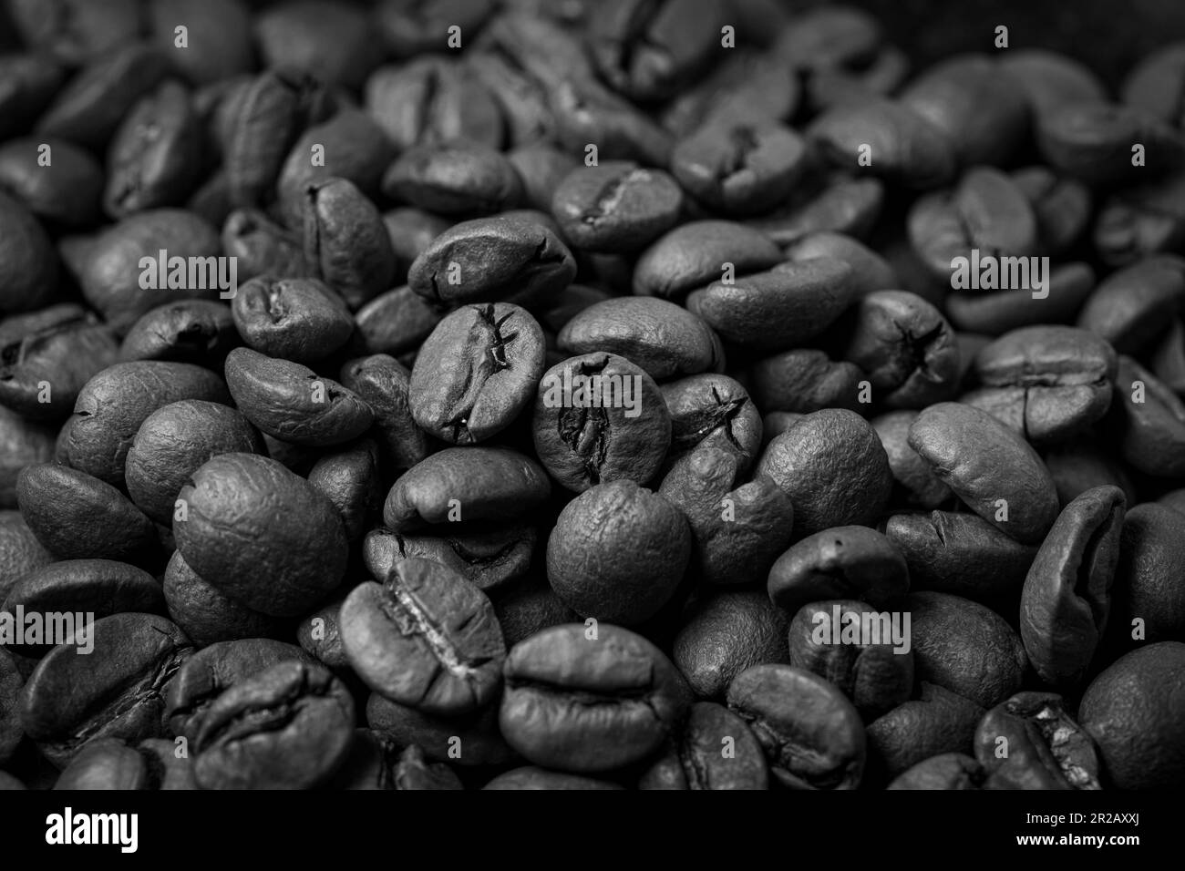 Bean Black and White Stock Photos & Images Alamy