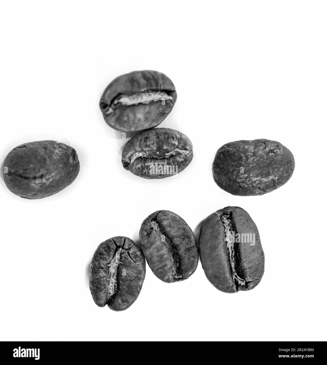 Bean Black and White Stock Photos & Images Alamy