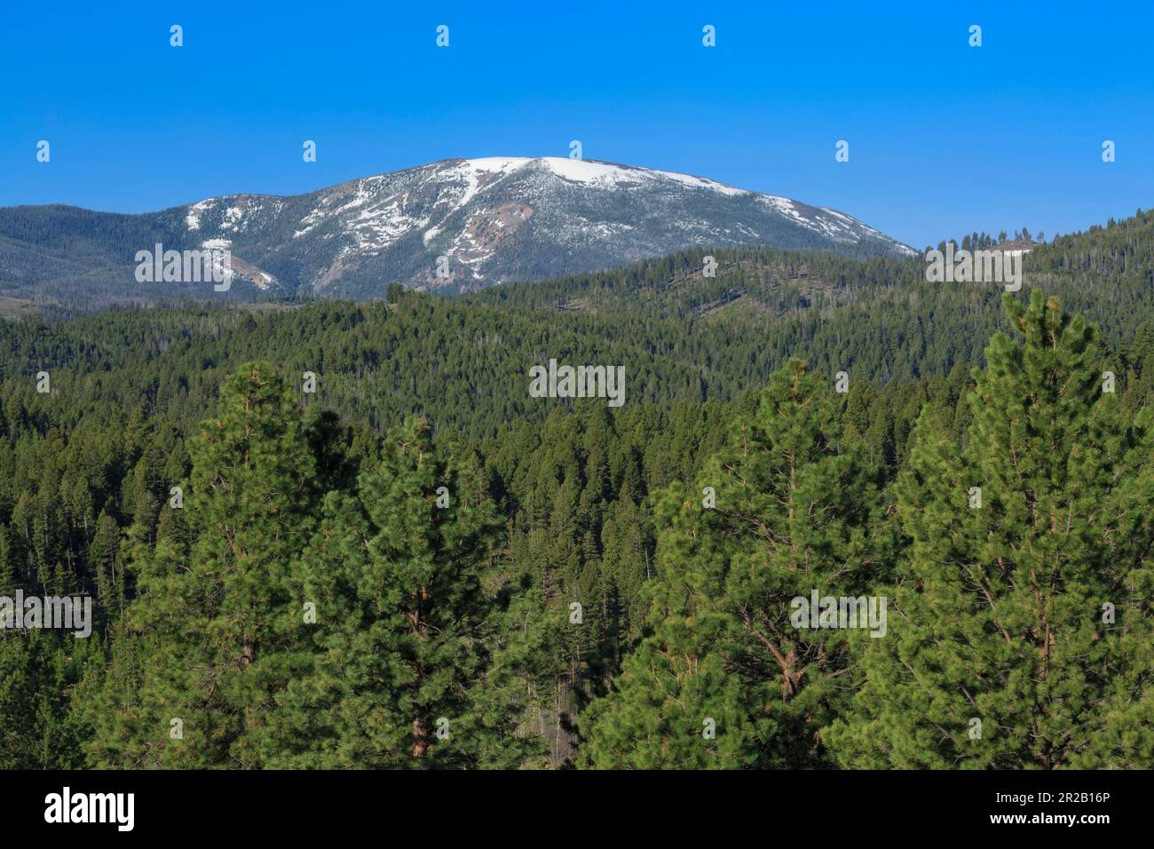 Echoes in the Peaks: Unearthing America's Legends from Rimini to the Coasts