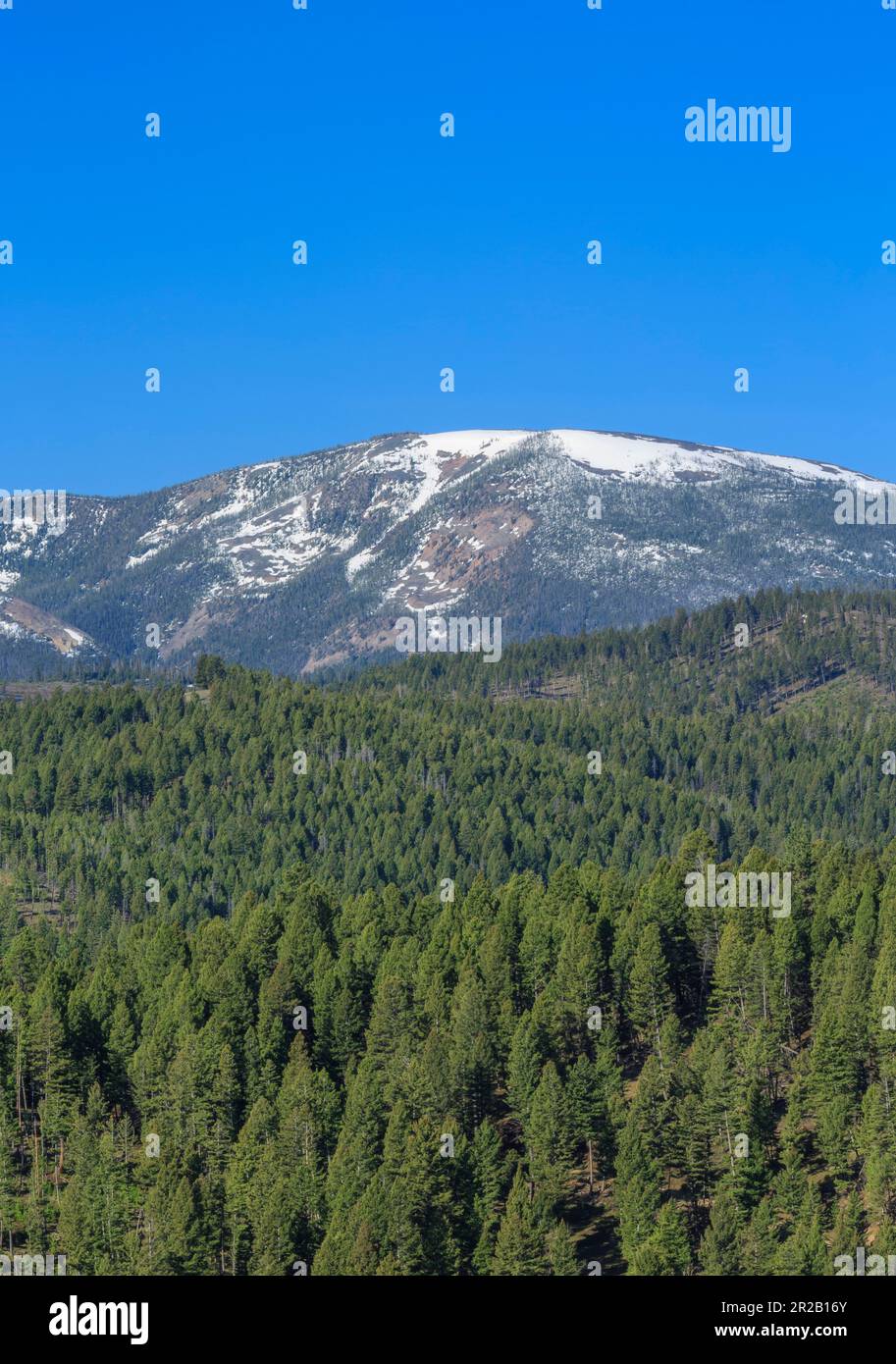 Echoes in the Peaks: Unearthing America’s Legends from Rimini to the Coasts