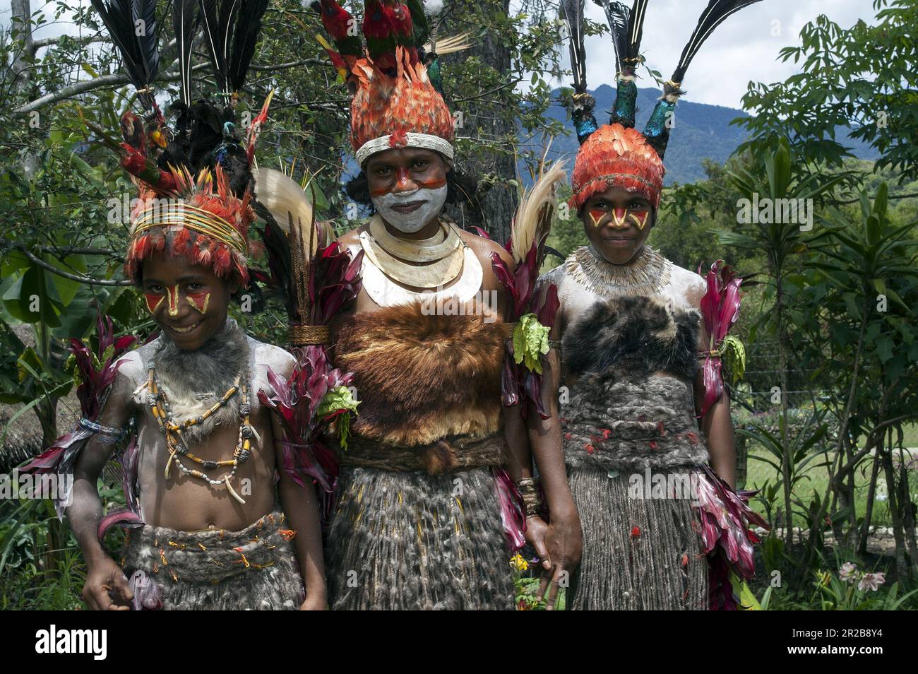 Papua New Guinea; Eastern Highlands; Goroka; Papuan girls in traditional ceremonial costumes made of skins, grasses, colored feathers and shells Stock Photo