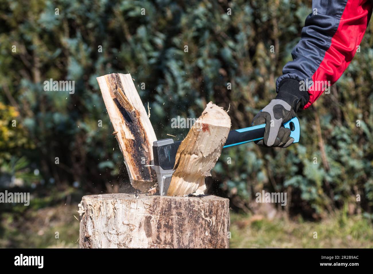 Close-up of split wood logs by sharp axe and human hand in working glove. Male arm holding splitting ax with plastic handle at firewood preparation. Stock Photo