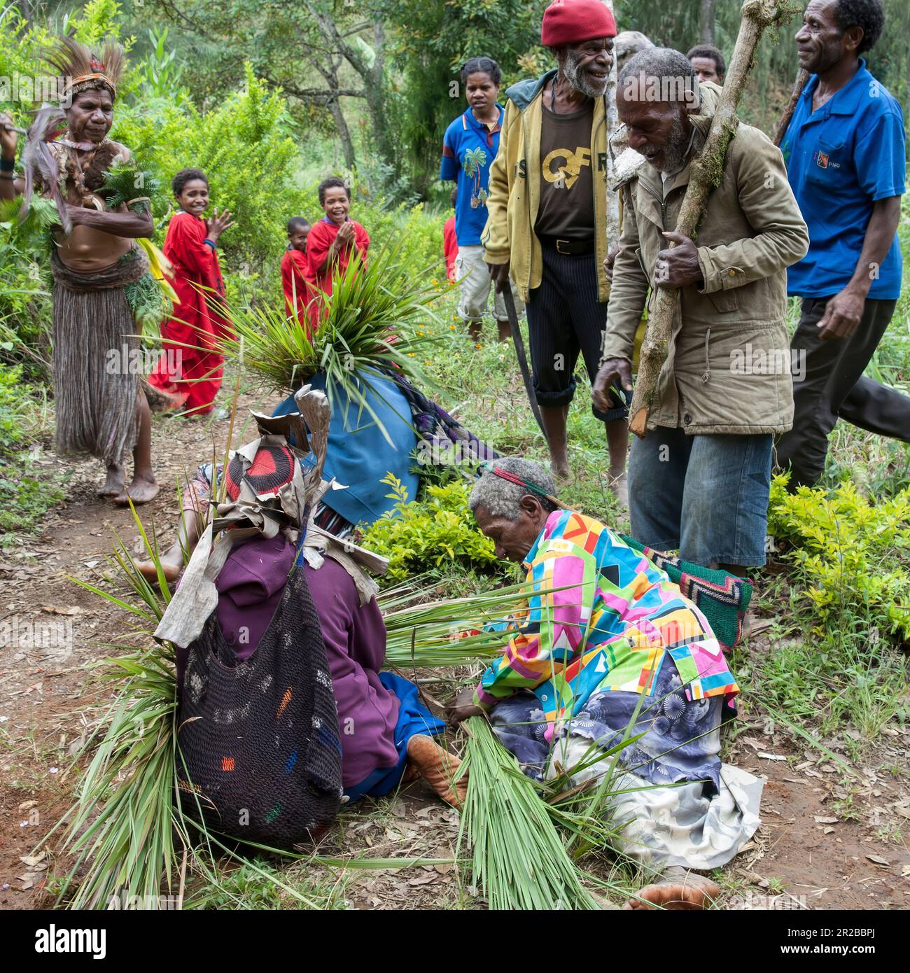 PNG, Papua New Guinea; Eastern Highlands; Goroka; A group of Papuans in the bush; Eine Gruppe Papua im Busch; Un grupo de papúes en el monte Stock Photo