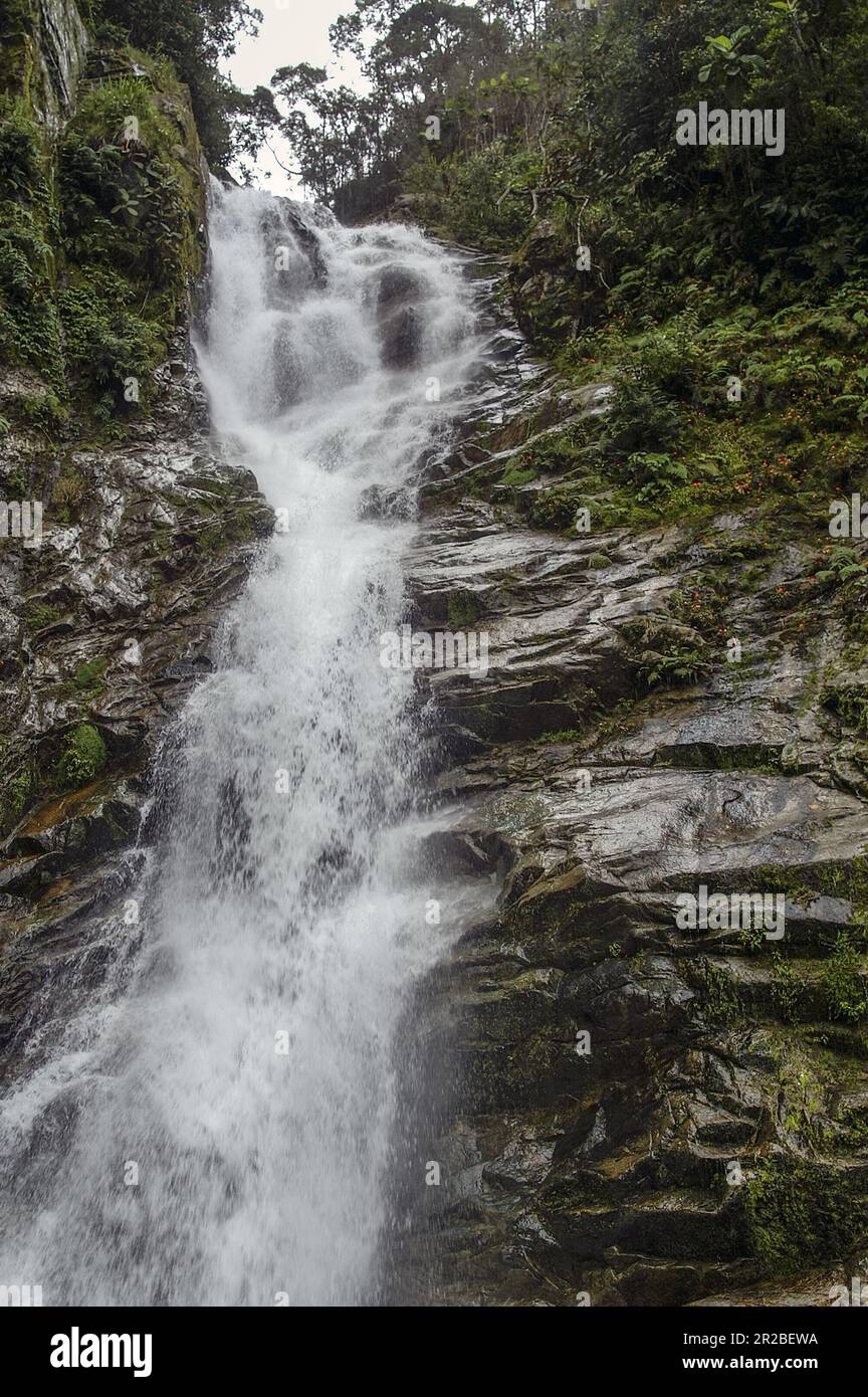 PNG, Papua New Guinea; Eastern Highlands; Goroka; A small waterfall on a river in the wild mountains of Papua; Wasserfall in den wilden Bergen Papuas Stock Photo