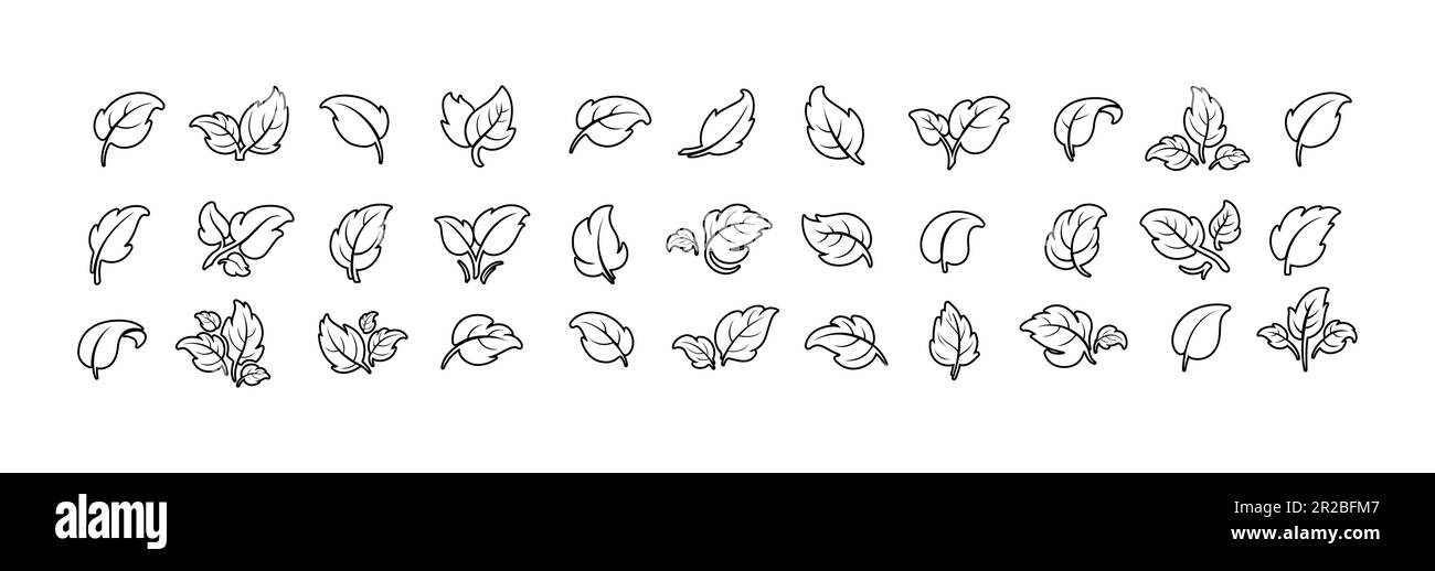 Simple leaf line icons, symbols, logo and graphic elements set isolated on white background. Vector template for natural, organic, bio, eco label Stock Vector