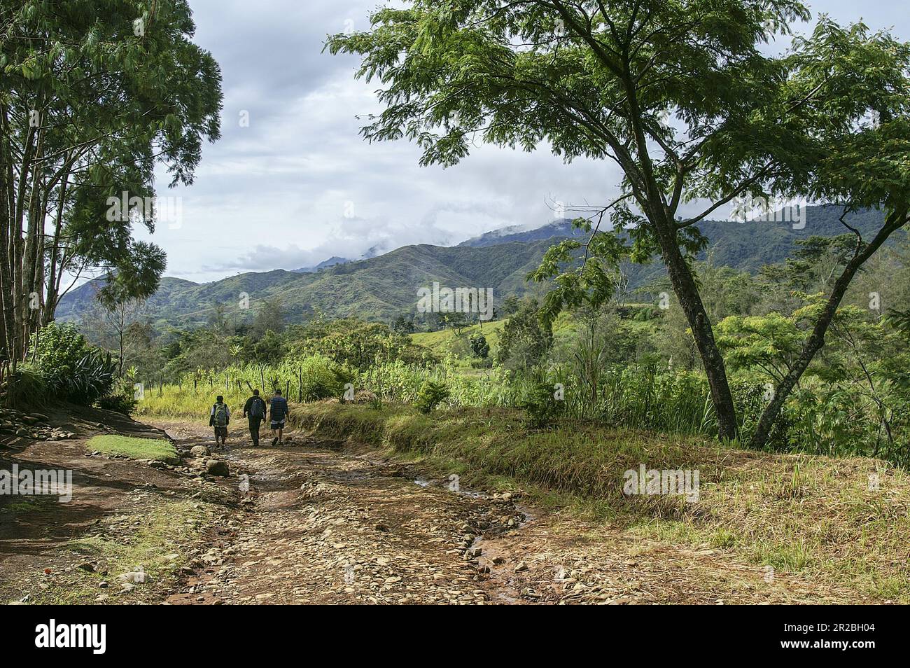 Papua New Guinea; Eastern Highlands; Goroka; white tourists on the road in papuan bush; Weiße Touristen auf der Straße im Papua-Busch Stock Photo