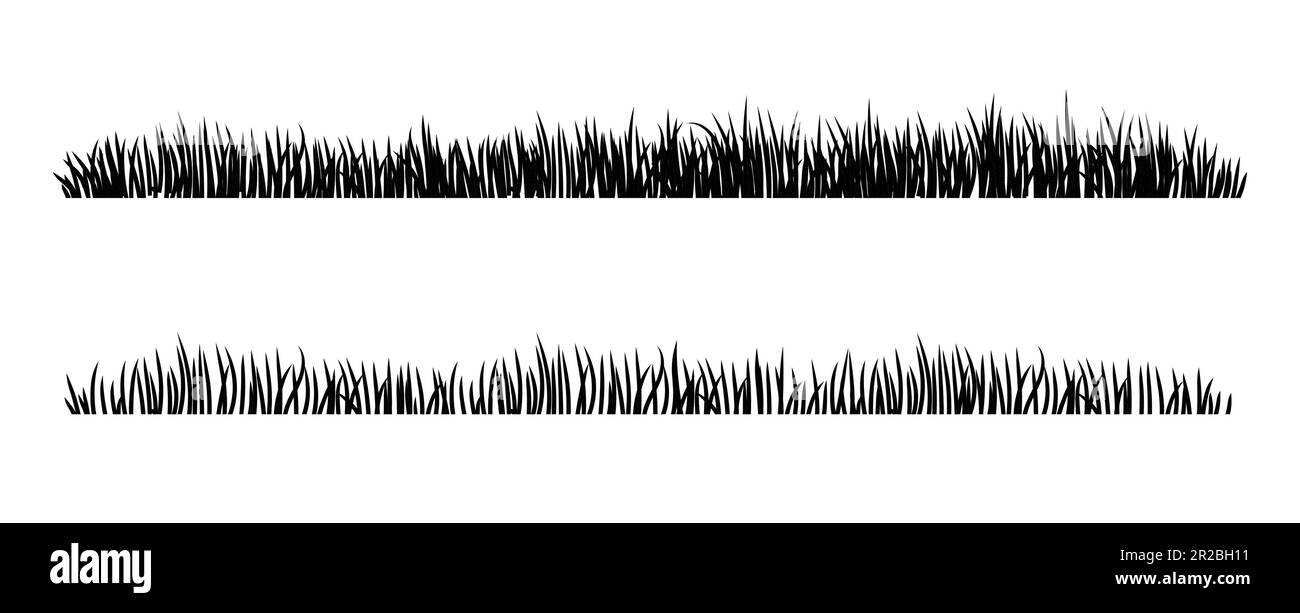 Set of Black Grass Silhouettes Isolated on White Background. Fresh herb:  natural, organic, bio, eco label and shape. Vector illustration Stock  Vector Image \u0026 Art - Alamy, image size:1300x613