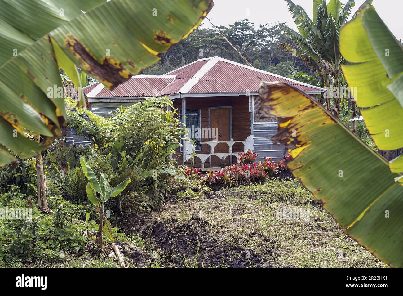 Papua New Guinea; Eastern Highlands; Goroka; The current contemporary Papuan hut; zeitgenössische moderne papuanische Hütte, nowa chata w buszu Stock Photo
