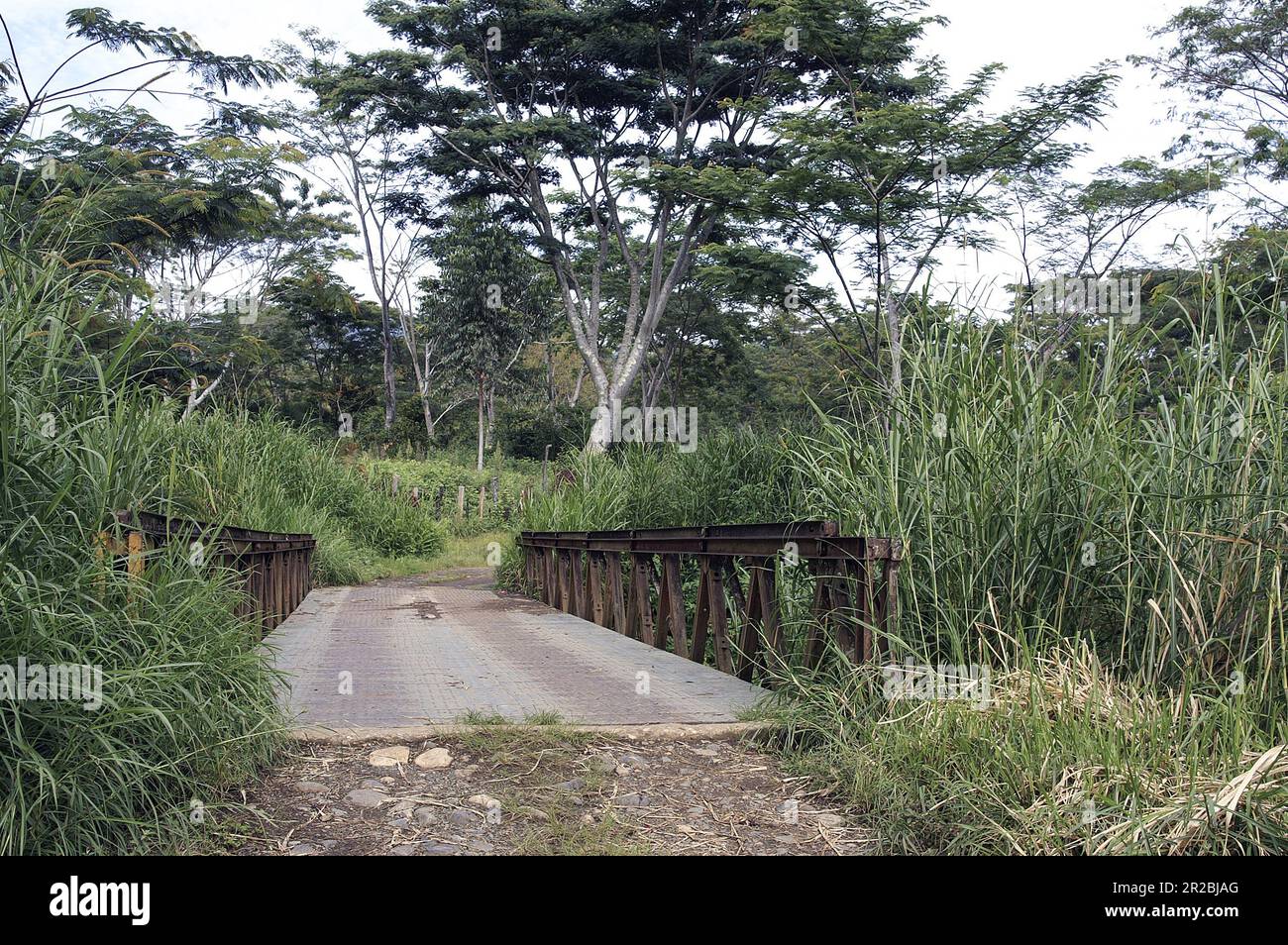 Papua New Guinea; Eastern Highlands; Goroka; simple bridge over the river in the bush; einfache Brücke über den Fluss im Busch; prosty most w buszu Stock Photo
