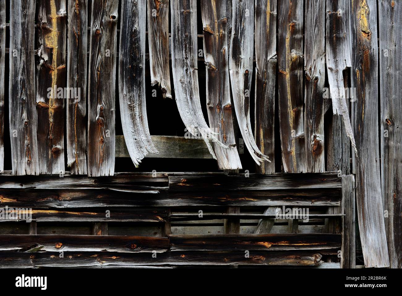 Warped boards on an old barn Stock Photo
