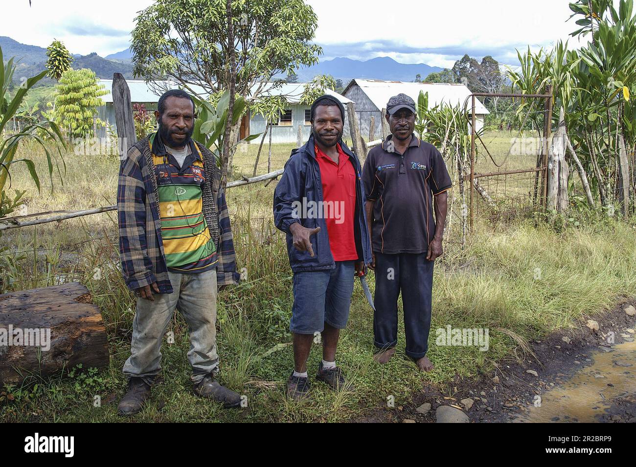 Papua New Guinea; Eastern Highlands; Goroka; Namta, three Papuan men on a road in the bush, drei Papua-Männer auf einer Straße im Busch, Stock Photo