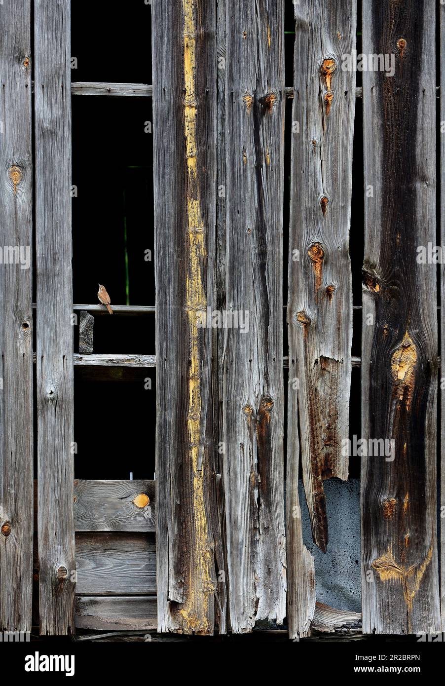 Warped boards on an old barn Stock Photo