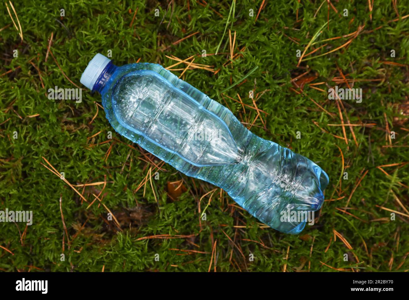 Plastic bottle of fresh water on green grass, top view Stock Photo - Alamy