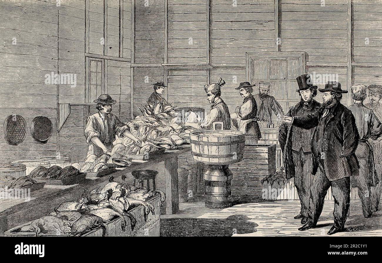 Scene at Baker's Bakery, Battery Barracks, NY - Preparing poultry to be cooked for soldiers Thanksgiving Dinner, American Civil War, 1864 Stock Photo