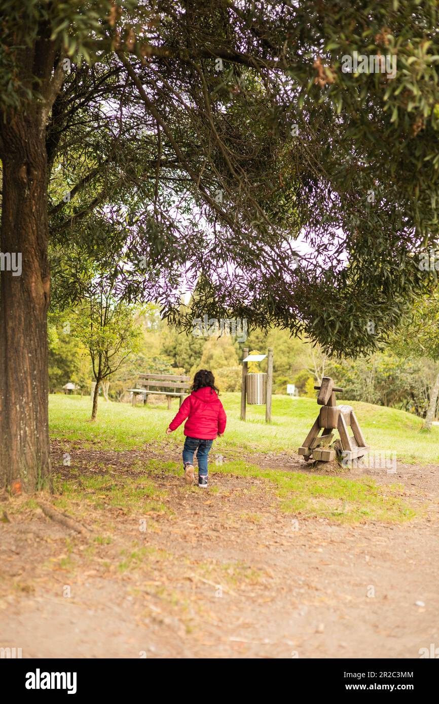 walking in the middle of a park with nature a little latin girl with curly hair wears a pink warm sweater, lifestyle and portrait, fun Stock Photo