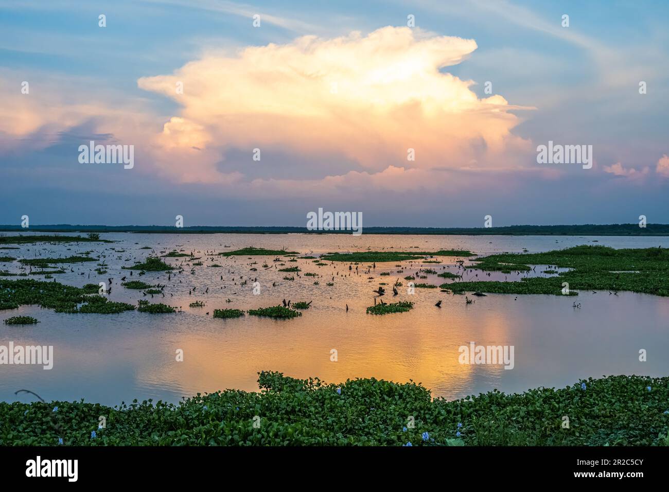 Sunset at Paynes Prairie Preserve State Park in Micanopy, Florida, near Gainesville. (USA) Stock Photo