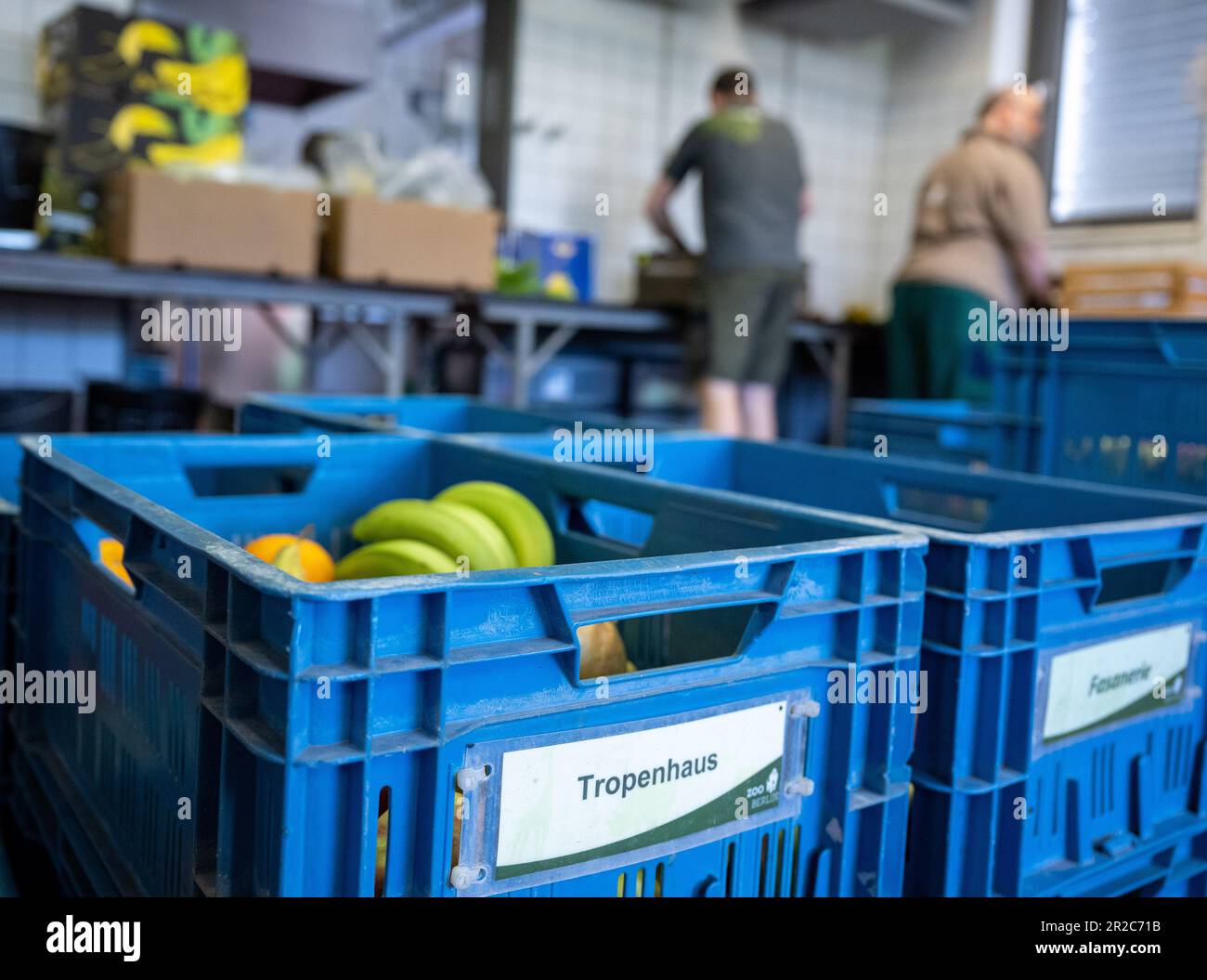 Berlin, Germany. 15th May, 2023. Labeled boxes of fresh fruit and ...