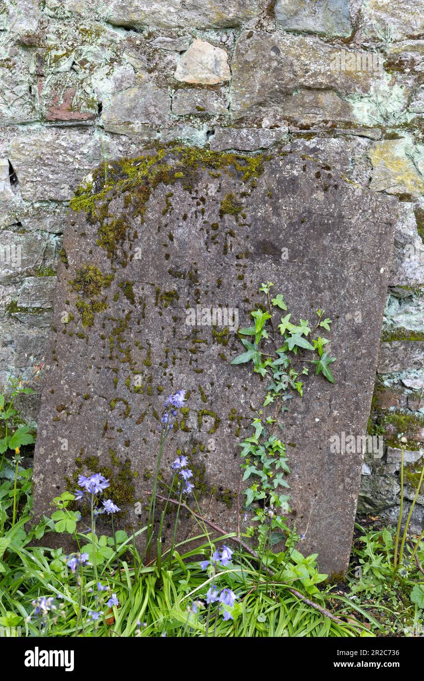 Old headstone hi-res stock photography and images - Alamy