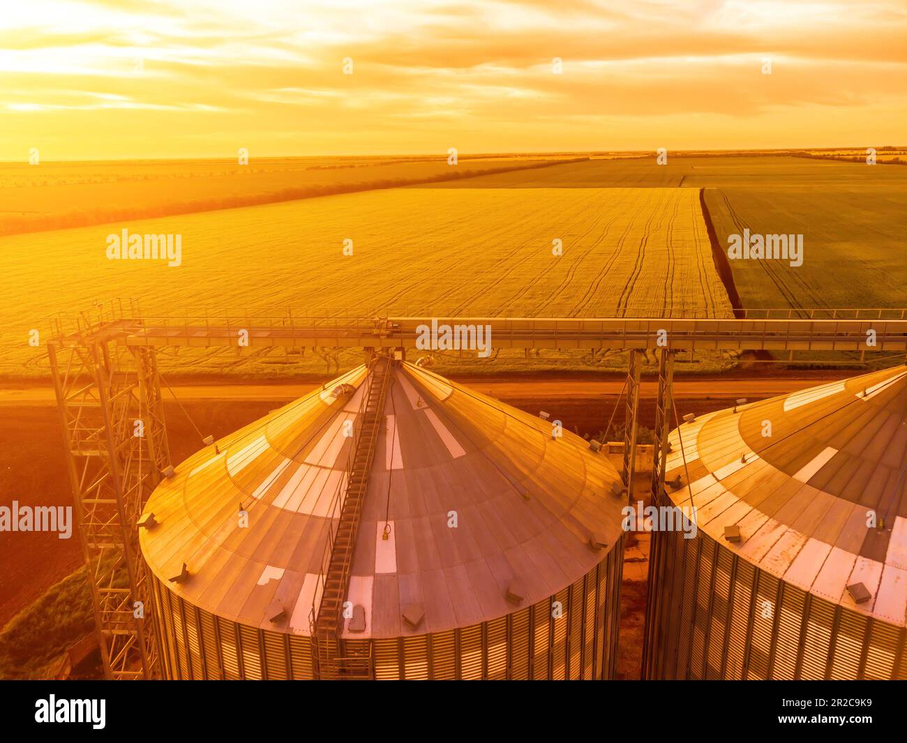 Grain silos on a green field background with warm sunset light. Grain ...