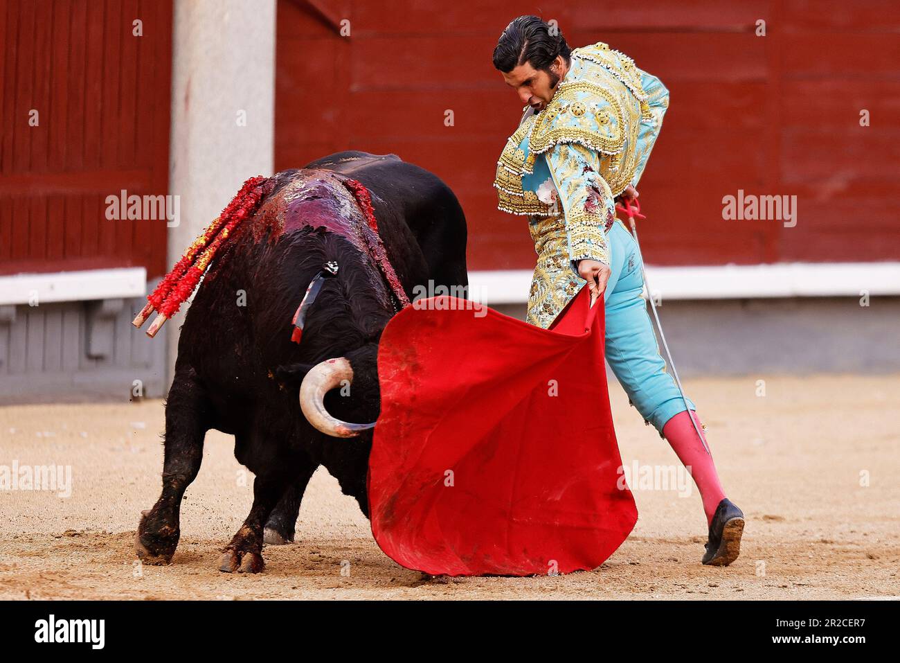 Morante hi-res stock photography and images - Page 10 - Alamy