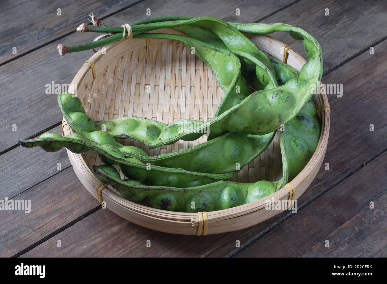 Raw of Petai or Pete, which have a rather peculiar smell. Usually eaten raw or cooked, popular with the name stink bean or bitter bean. Stock Photo