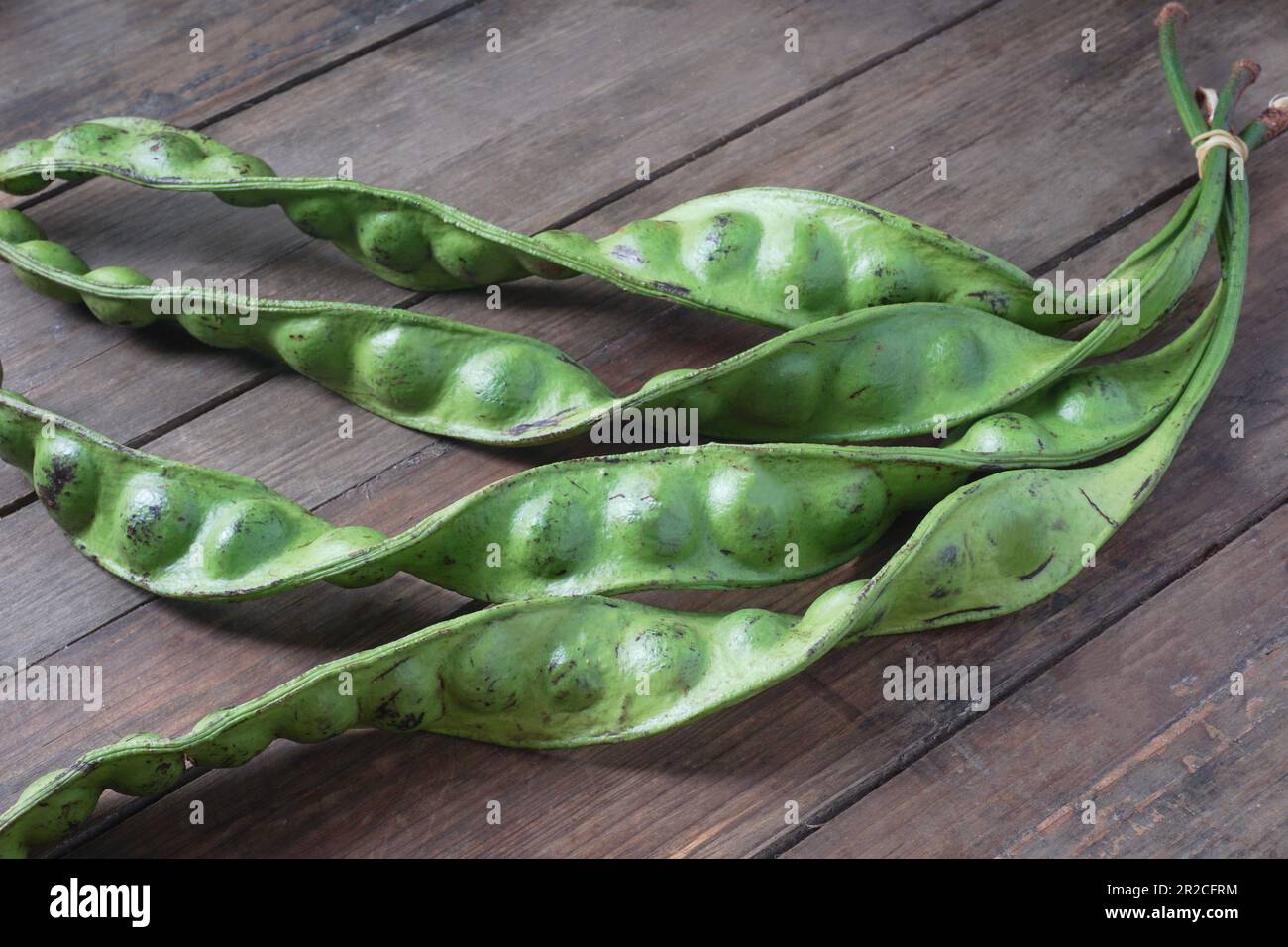 Raw of Petai or Pete, which have a rather peculiar smell. Usually eaten raw or cooked, popular with the name stink bean or bitter bean. Stock Photo
