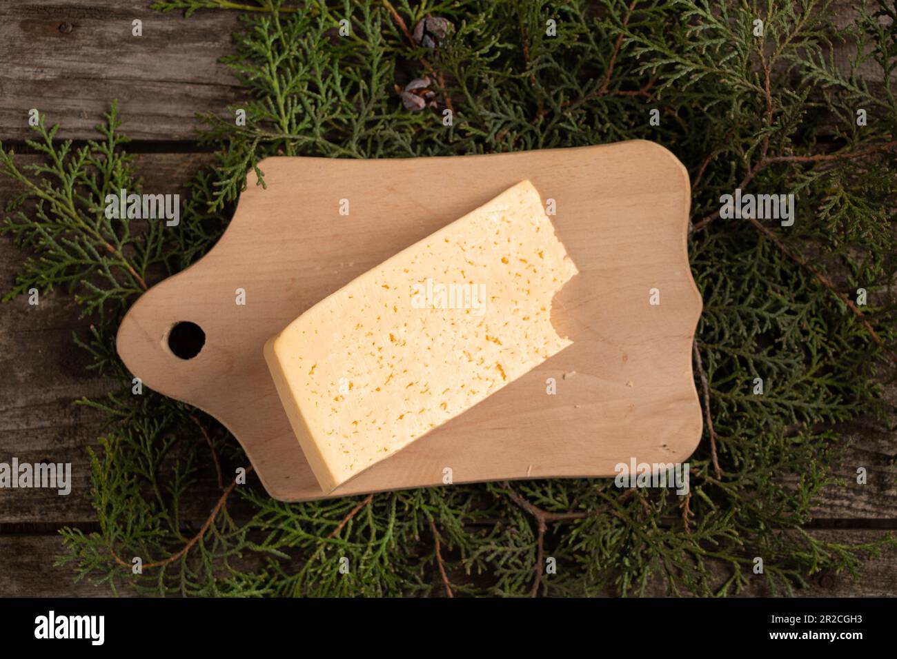 a piece of hard cheese lies on a wooden board in the branches with a Christmas tree, table decor Stock Photo