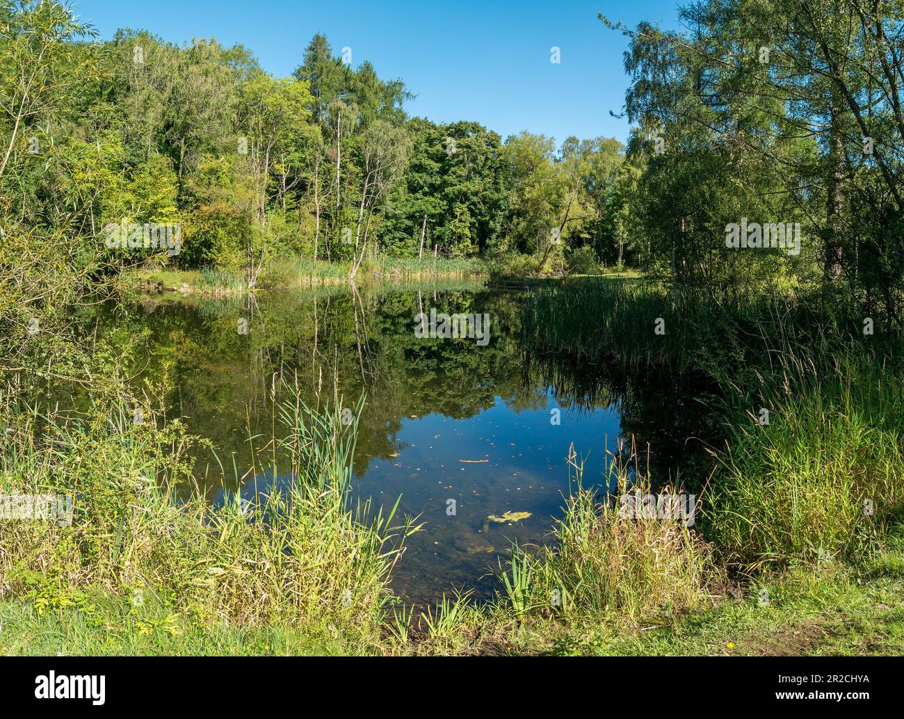 Small calm lake in old lime quarry surrounded by trees Ticknall Limeyards, Derbyshire, England, UK Stock Photo