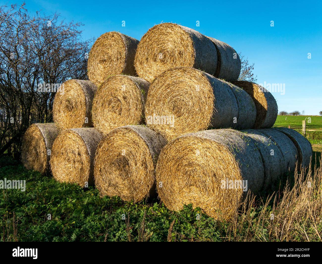 Neat pyramid Hay stack made from a stack of large round straw bales on a Leicestershire farm, England, UK Stock Photo