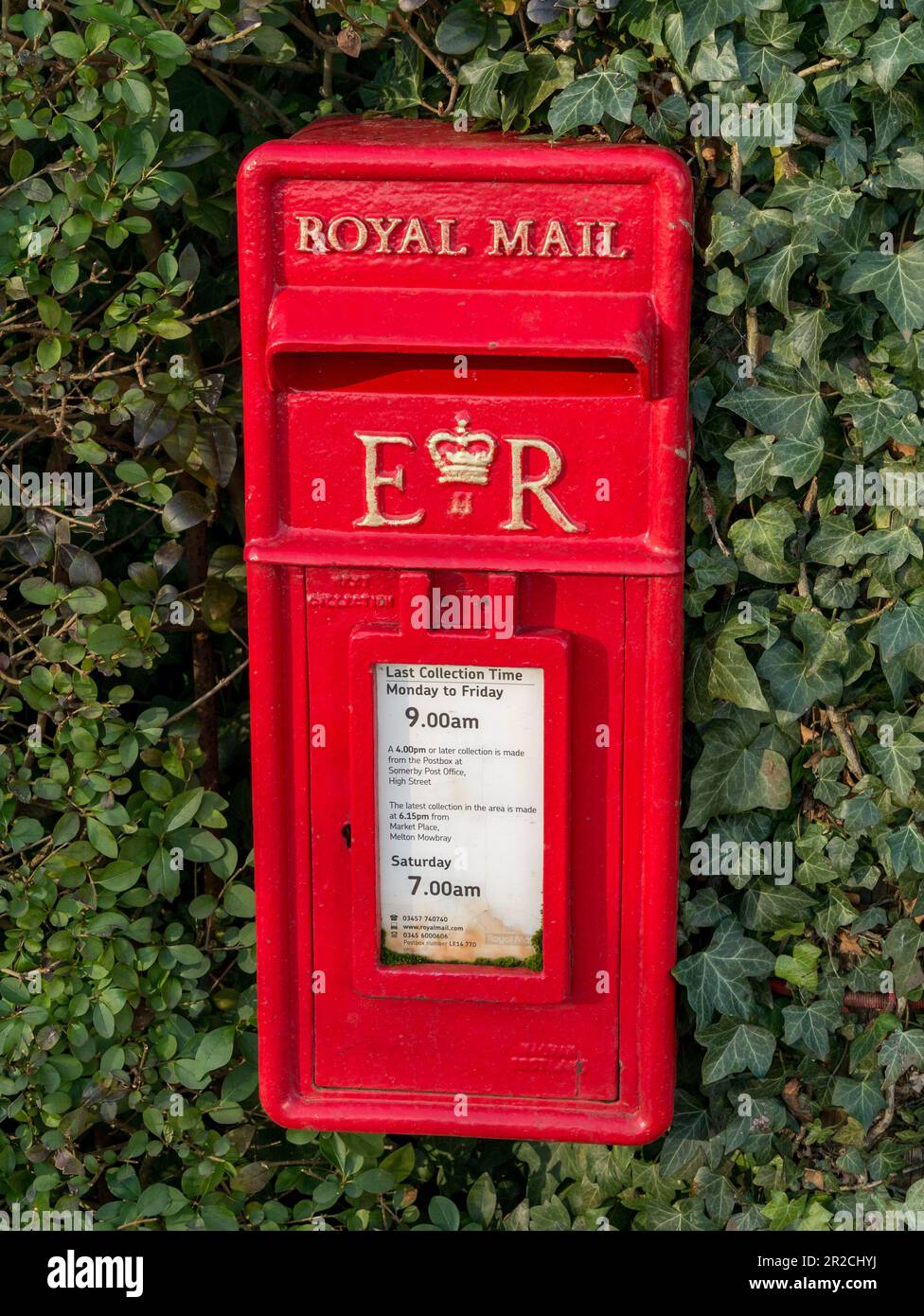 Freshly painted bright red Royal Mail post box with gold lettering showing EIIR Royal Cipher of Queen Elizabeth II in ivy hedgerow, England, UK Stock Photo