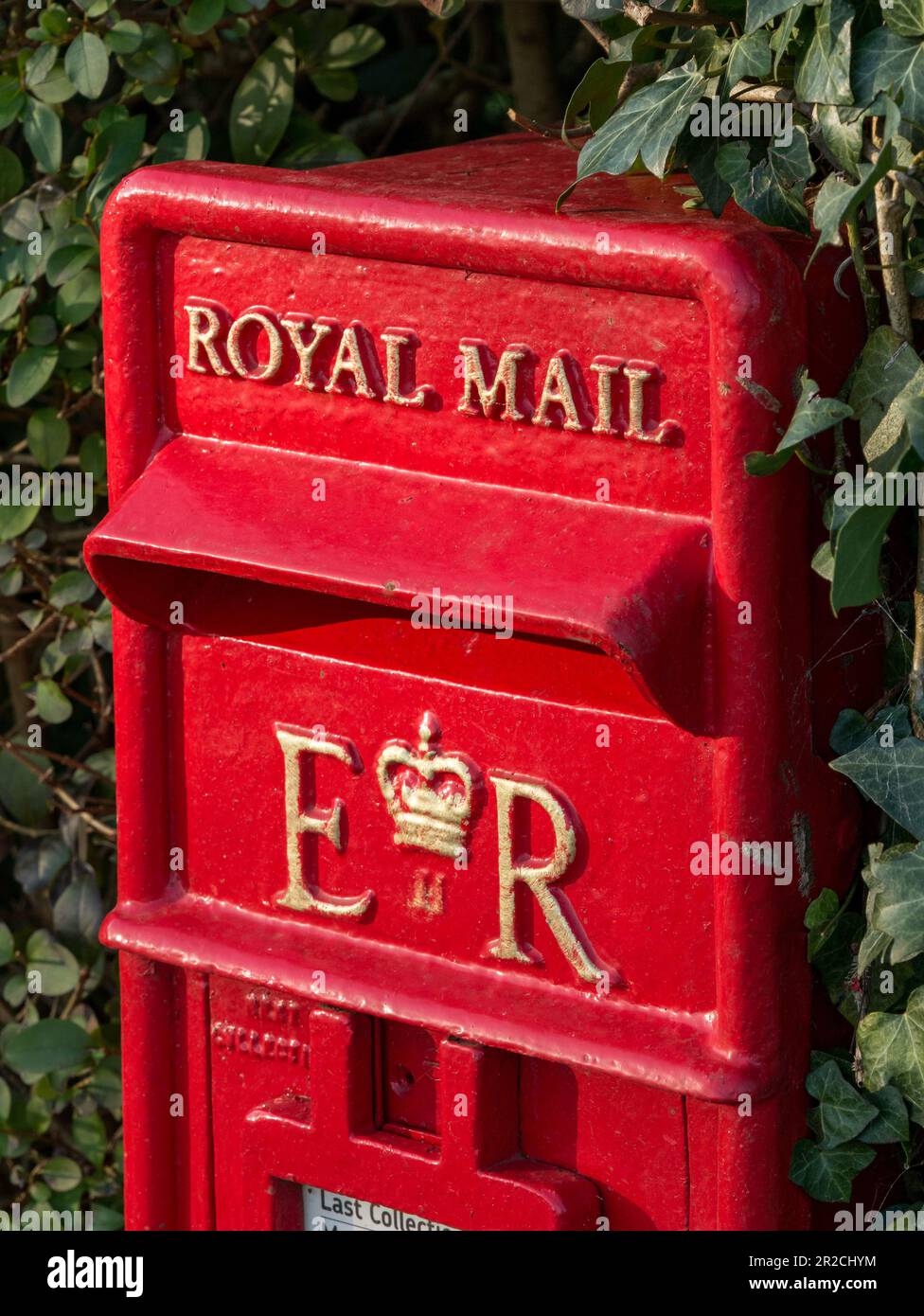 Freshly painted bright red Royal Mail post box with gold lettering showing EIIR Royal Cipher of Queen Elizabeth II in ivy hedgerow, England, UK Stock Photo