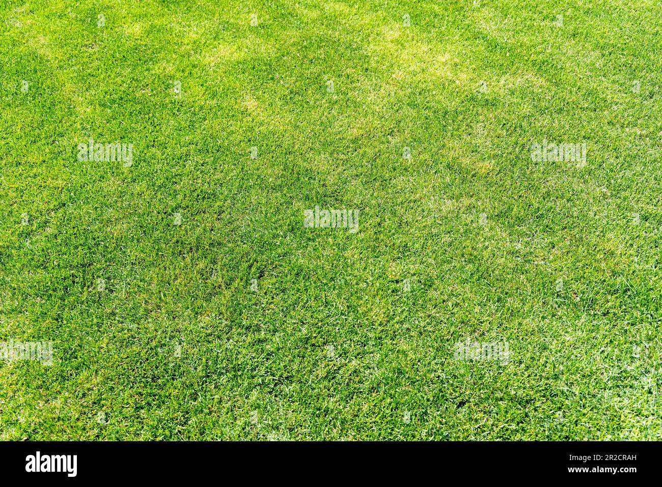 Expansive green park lush hi-res stock photography and images - Alamy