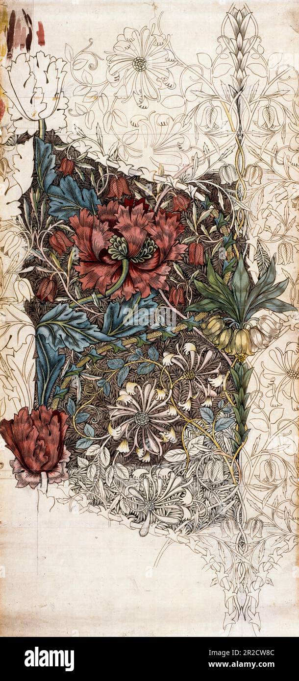 William Morris, Honeysuckle, pattern design illustration 1874 Stock Photo