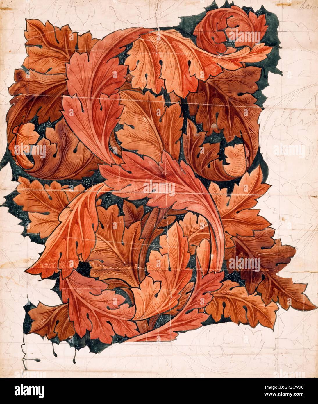William Morris, Acanthus, pattern design illustration 1879-1881 Stock Photo