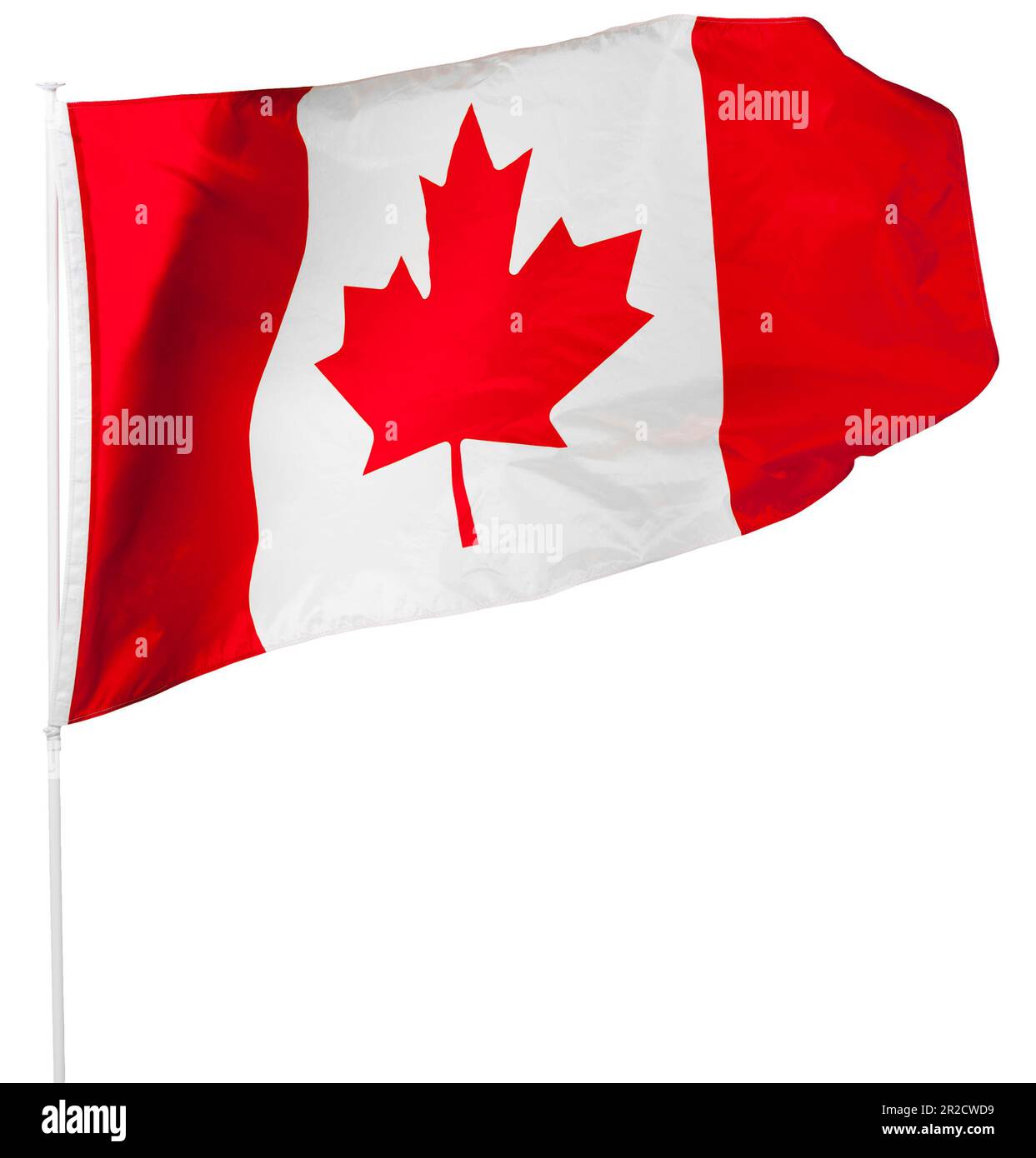 Canadian Flag isolated on white Stock Photo - Alamy
