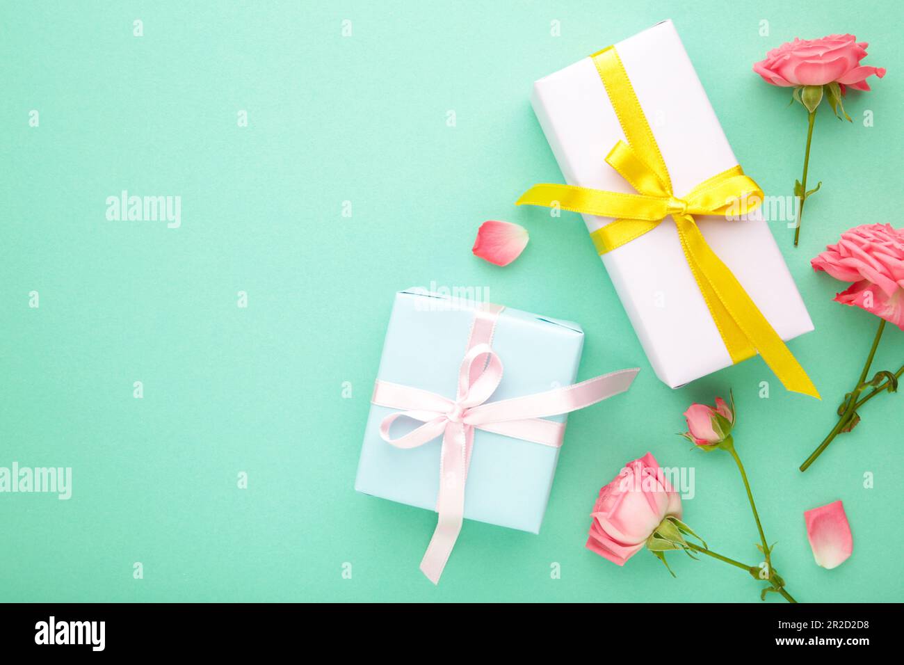Valentines day background with pink roses and gift box on mint ...