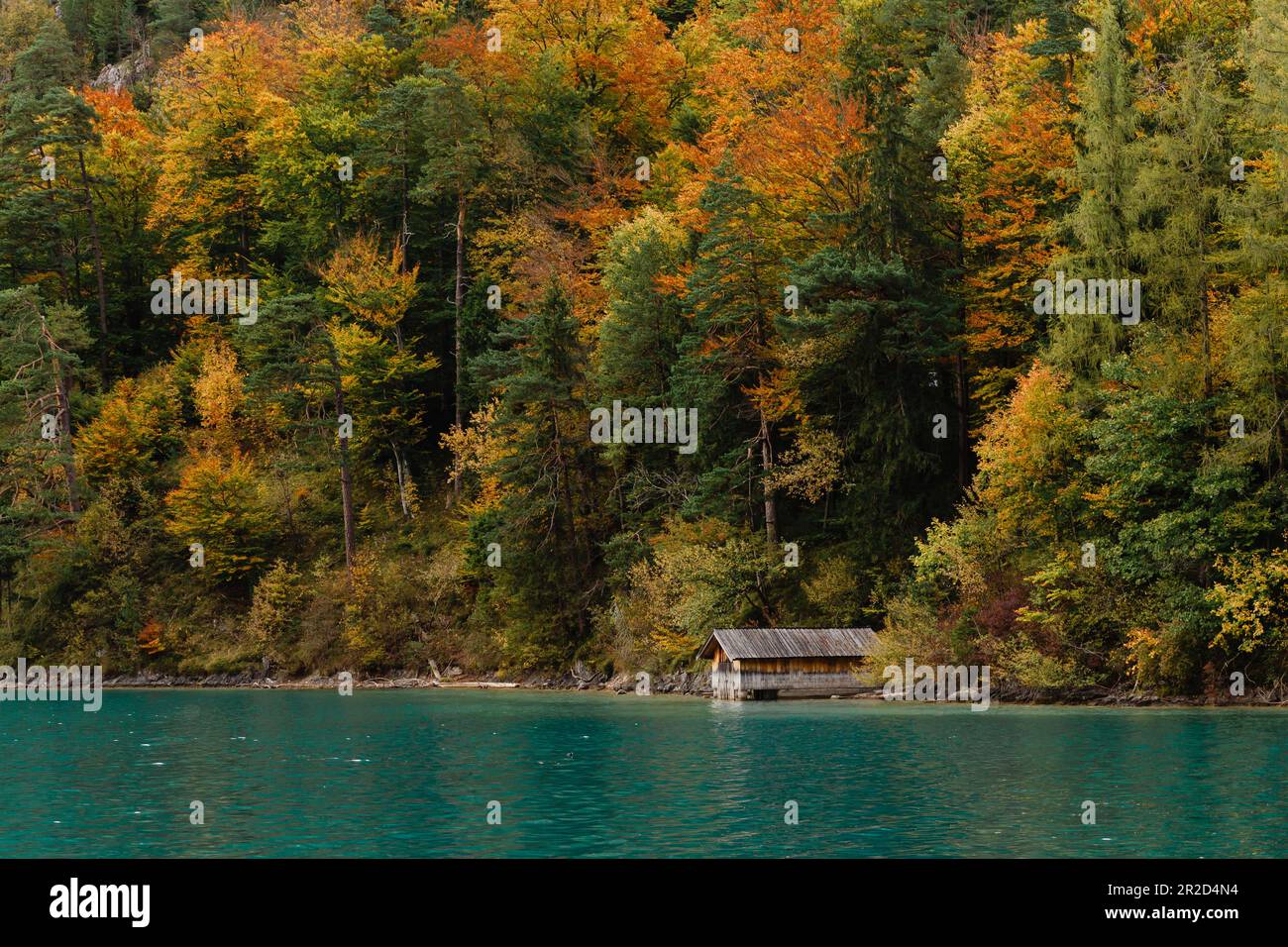 Golden green lake pier hi-res stock photography and images - Alamy