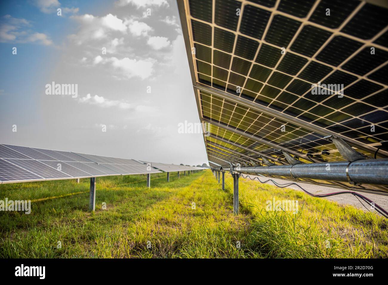 Solar farm in east Texas Stock Photo - Alamy