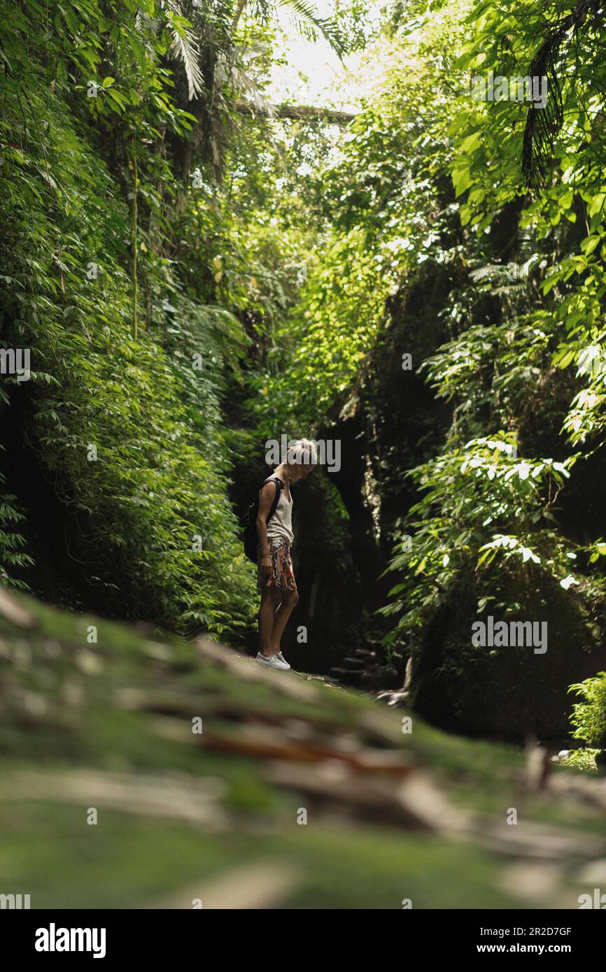 Tourist backpack in jungle hi-res stock photography and images - Alamy