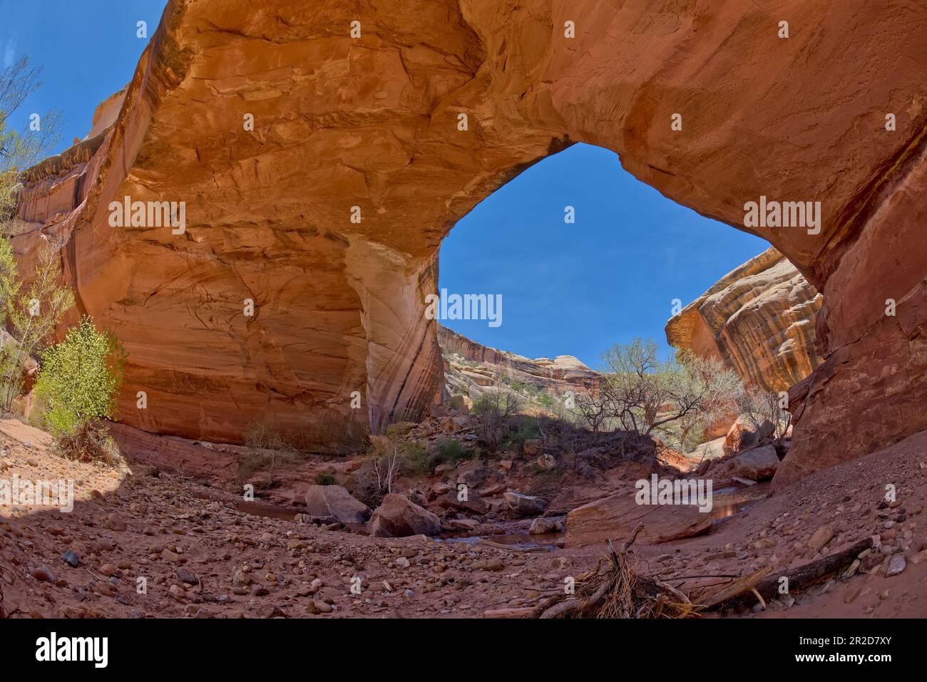 Kachina Bridge Arch at Natural Bridges National Monument UT Stock Photo