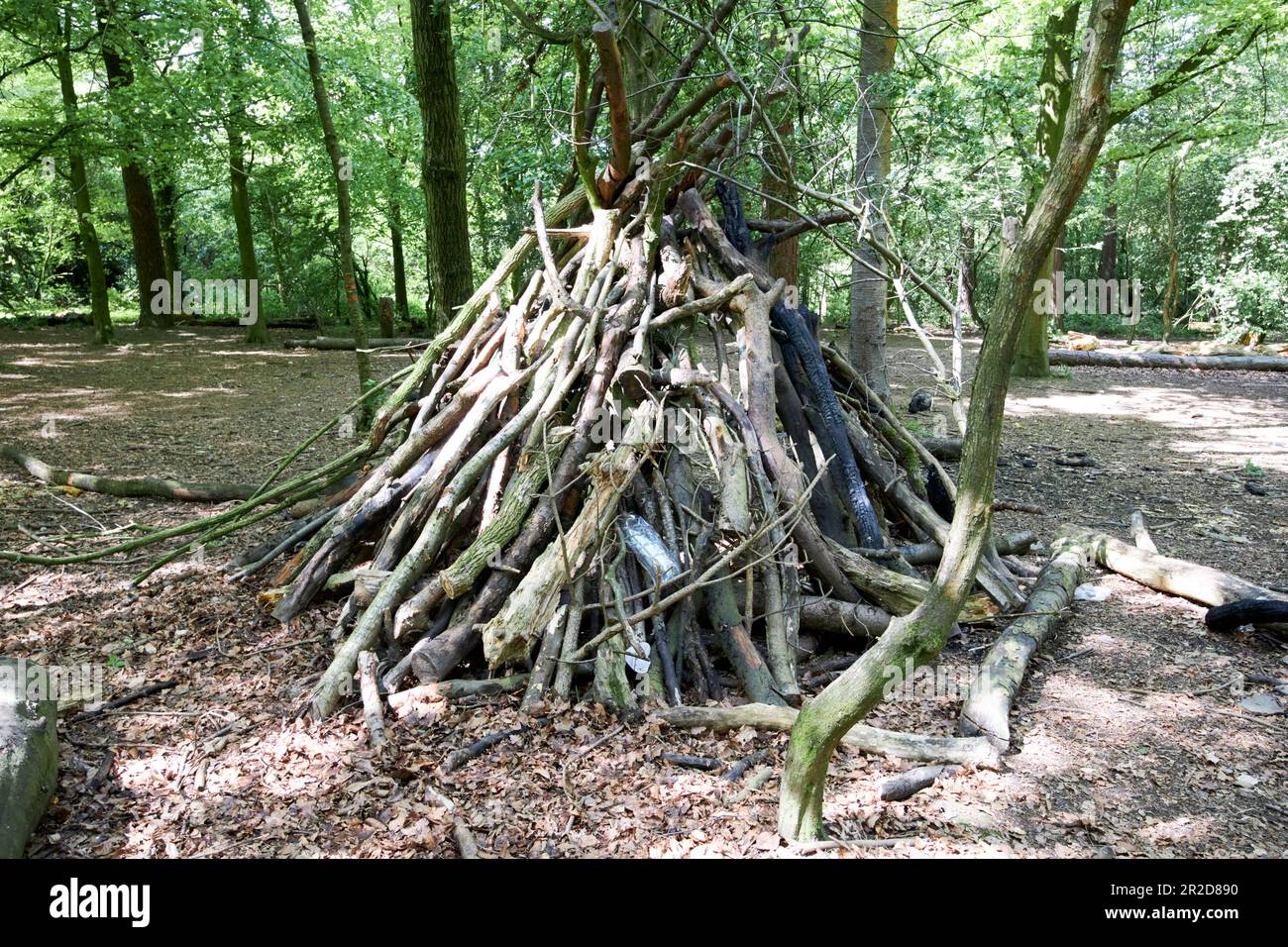 bushcraft shelter made out of wood Beacon Country Park upholland skelmersdale lancashire england uk Stock Photo