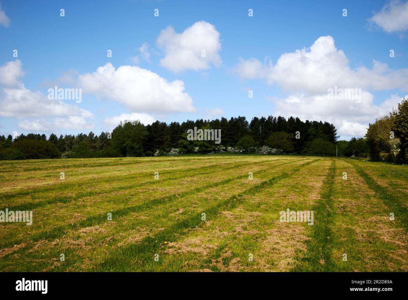 recently cut grass in field in Beacon Country Park upholland skelmersdale lancashire england uk Stock Photo