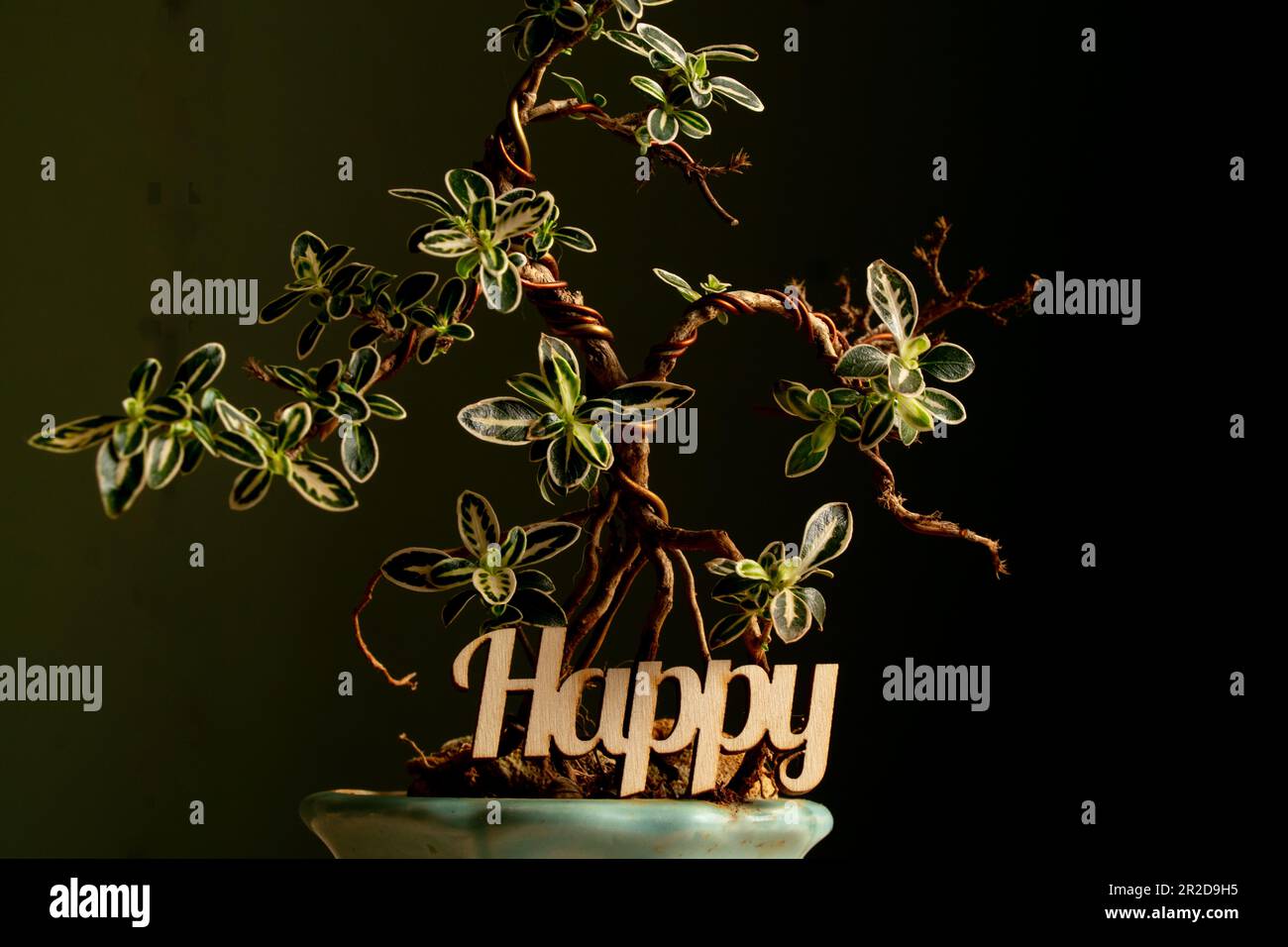 The word happy made of wooden letters on the branches of a decorative ...