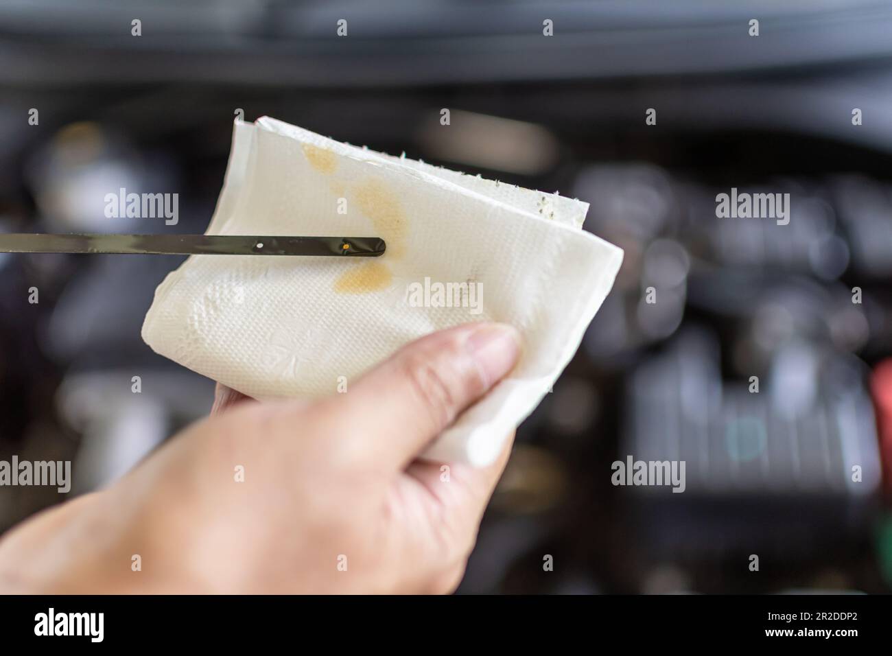 Man technician checks the oil from the dipstick. Checking the engine to increase the safety of driving a car. Engine servicing is imperative to aid in Stock Photo