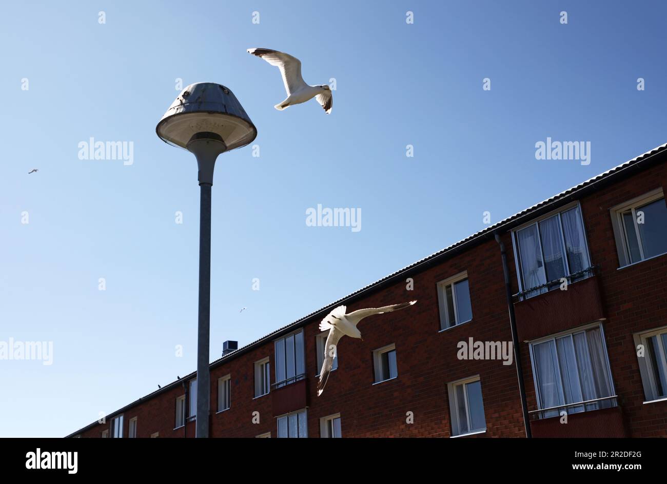 When nearly 82 percent of the rents in Sweden are fully negotiated, the average rent increase is