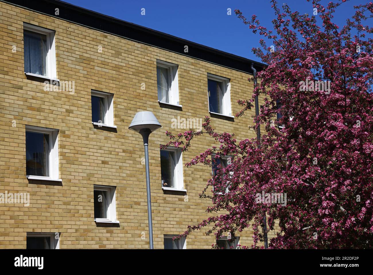 When nearly 82 percent of the rents in Sweden are fully negotiated, the