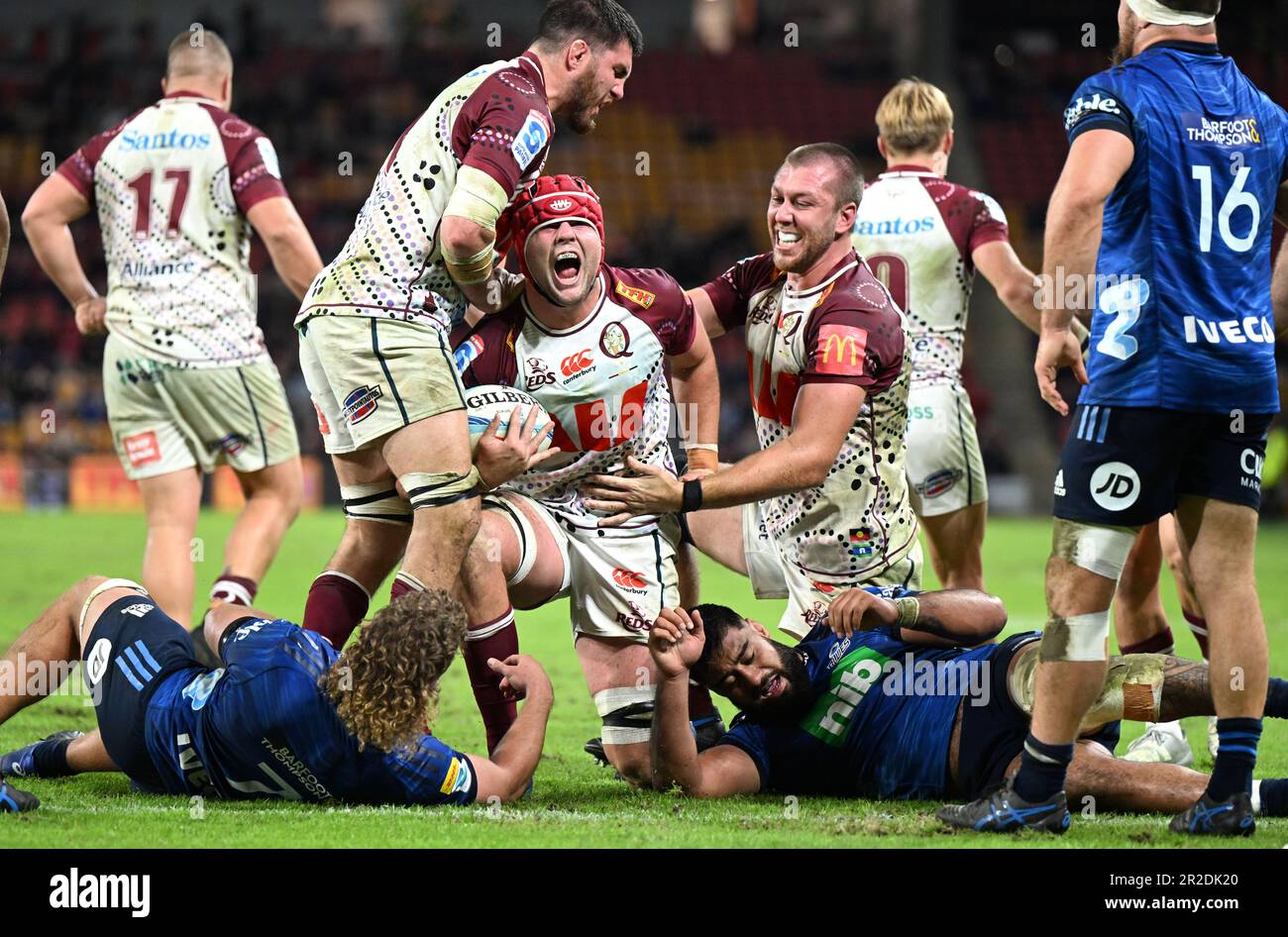 Harry Wilson Qld Rugby Harry Wilson (centre) of the Reds celebrates scoring a try with team ...
