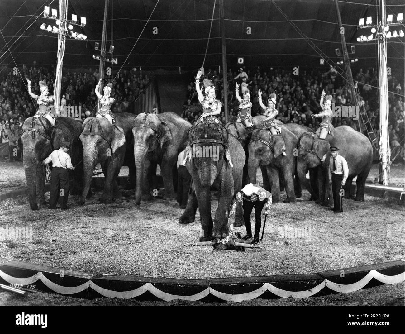 Girls riding Elephants in Circus Tent in THE GREATEST SHOW ON EARTH 1952 director CECIL B. DeMILLE Paramount Pictures Stock Photo