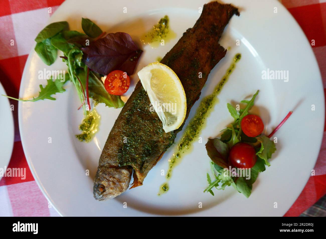 grilled trout fish as very nice food background Stock Photo Alamy