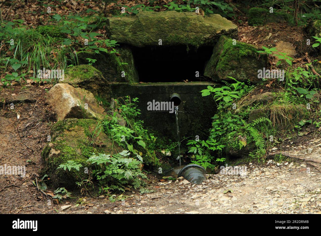 spring of water in the deep czech forest Stock Photo - Alamy